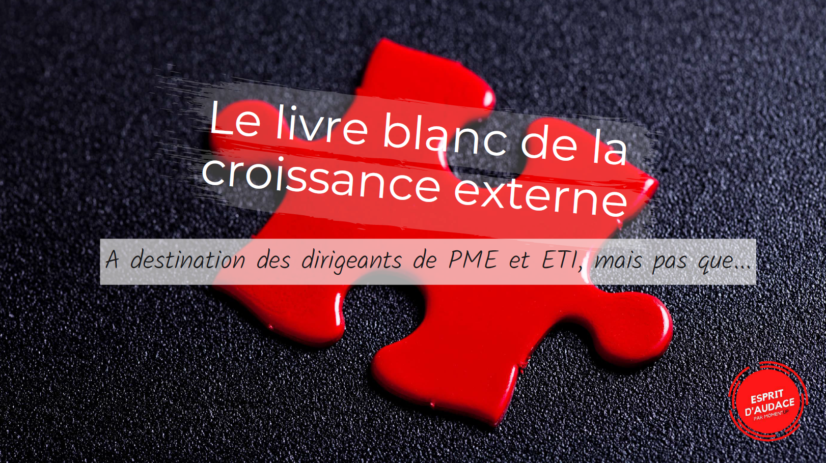 Un livre blanc de la croissance externe pour accompagner les dirigeants de PME et ETI